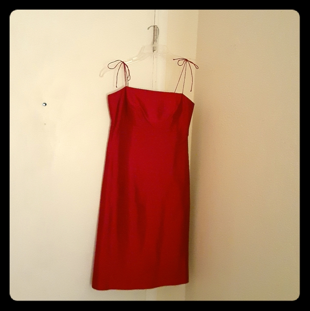 Pretty party dress! ARIA, red silk dress, size 4.